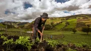 A woman works in a field in Bolivia