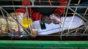 Store owner counts cash
